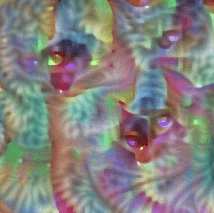 理想猫